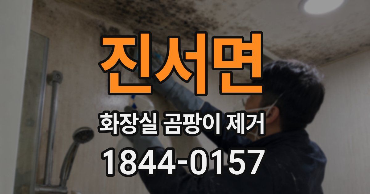진서면 화장실 곰팡이 제거
