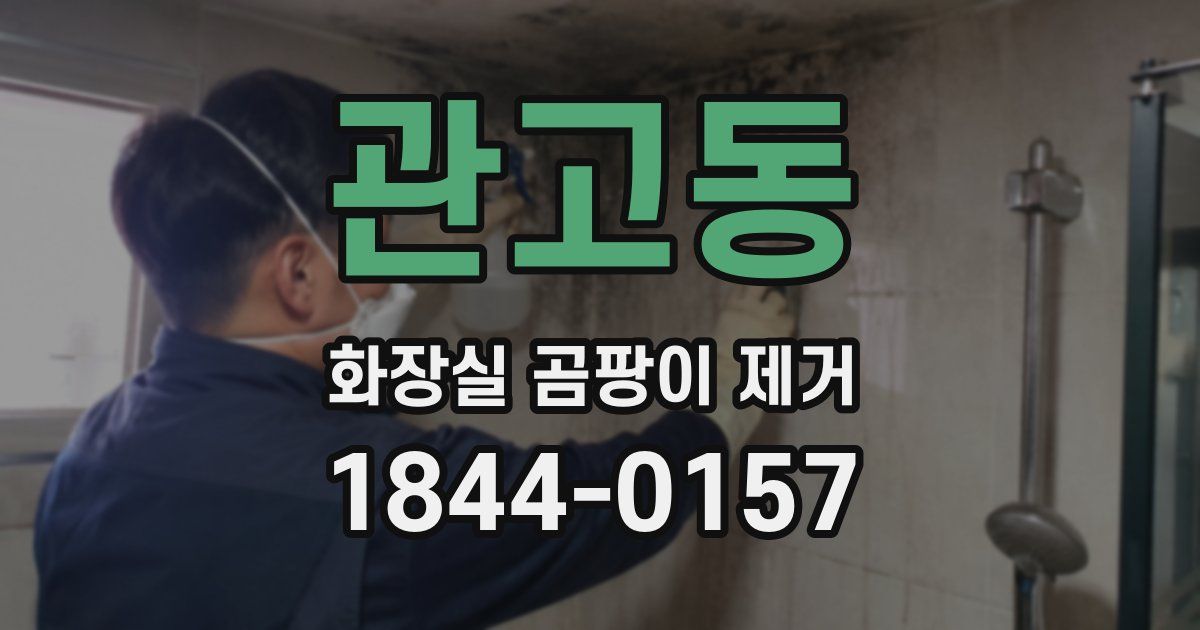관고동 화장실 곰팡이 제거