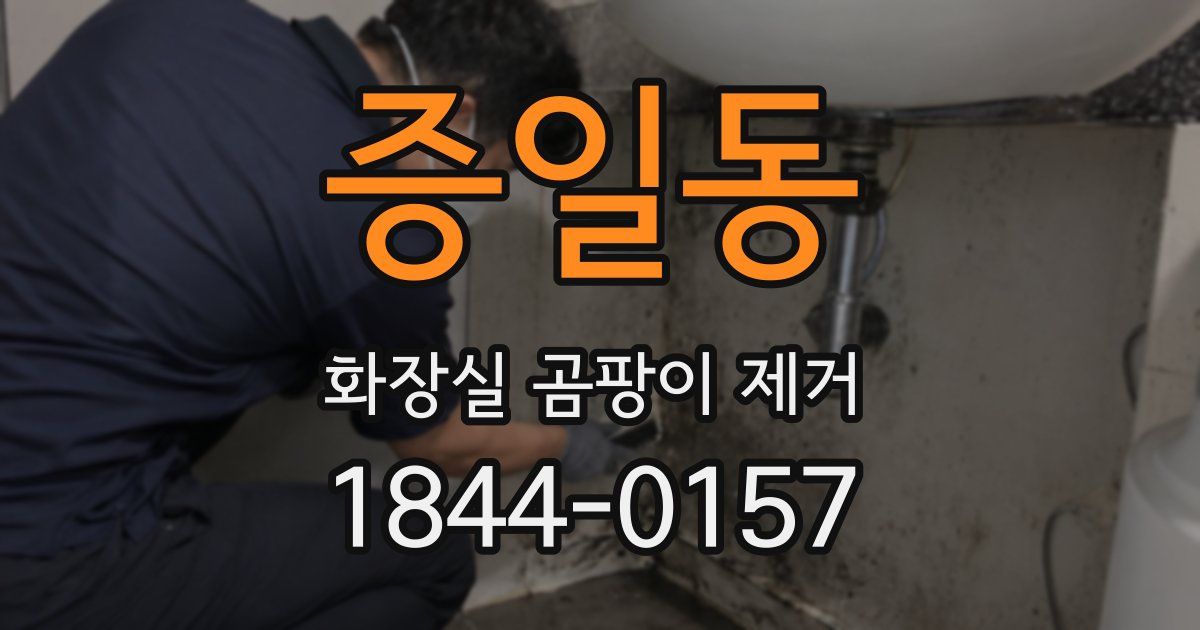 증일동 화장실 곰팡이 제거