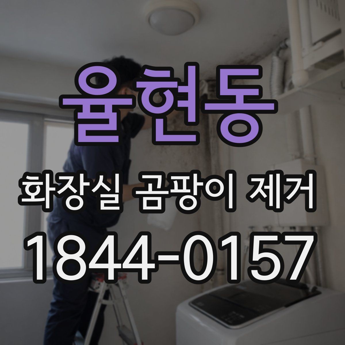 율현동 화장실 곰팡이 제거 분사형 제품이 편한 상황과 주의점