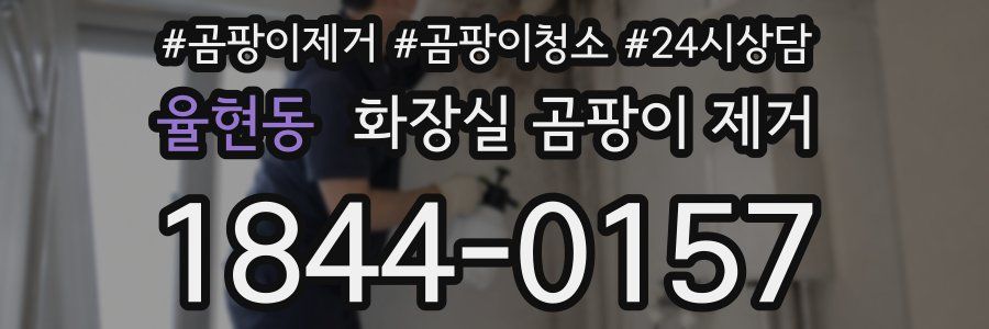 율현동 화장실 곰팡이 제거