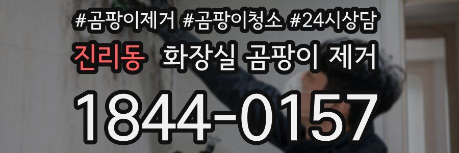 진리동 화장실 곰팡이 제거