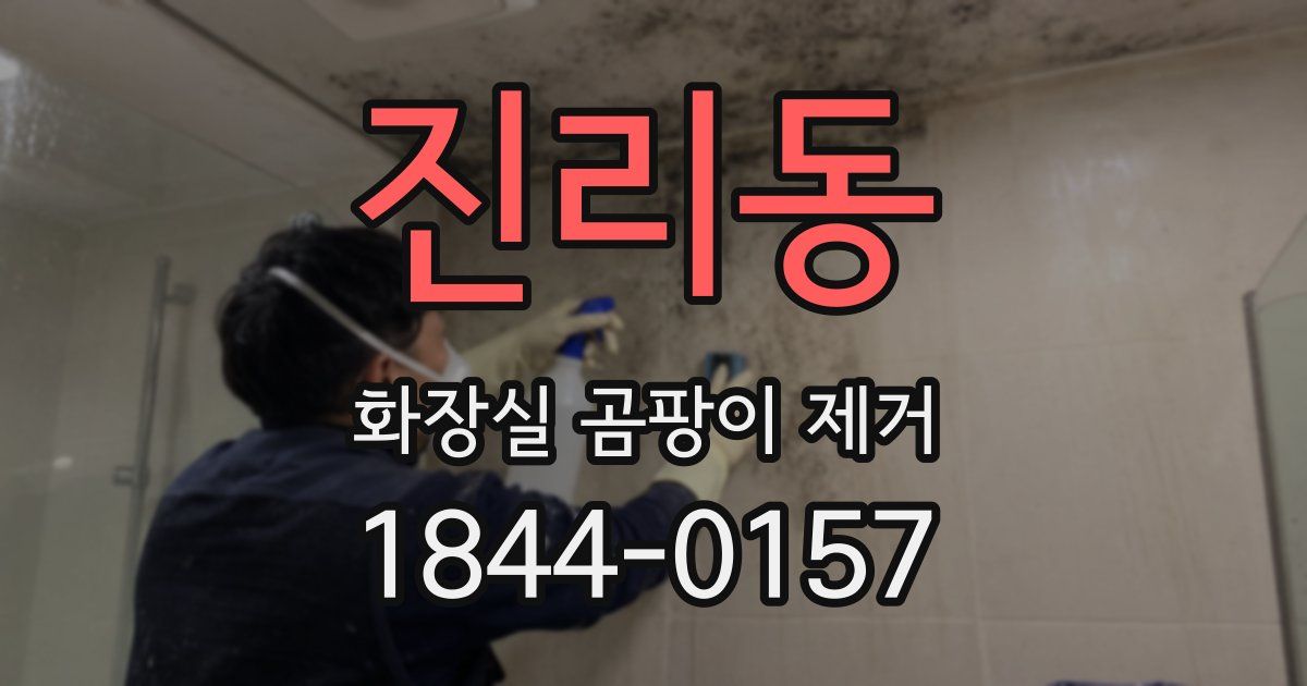 진리동 화장실 곰팡이 제거