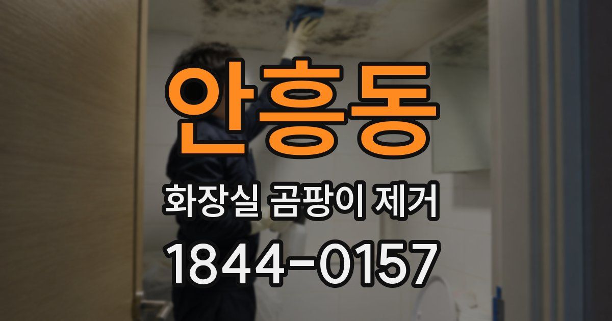 안흥동 화장실 곰팡이 제거