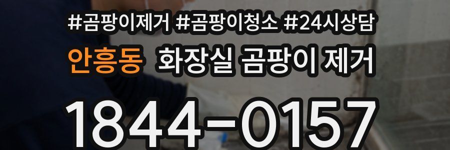 안흥동 화장실 곰팡이 제거
