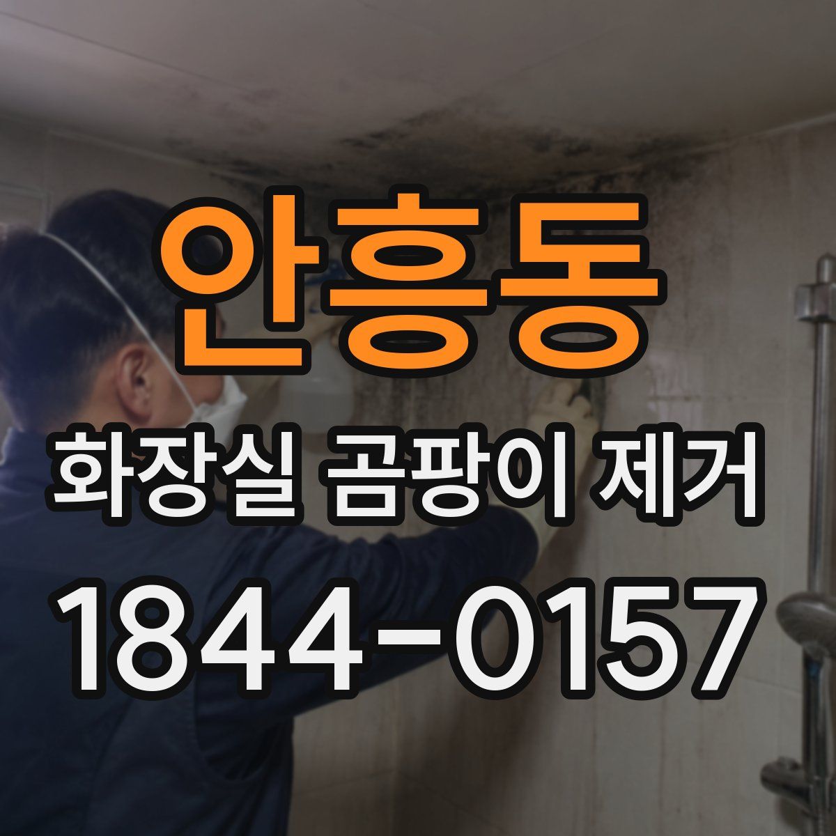 안흥동 화장실 곰팡이 제거