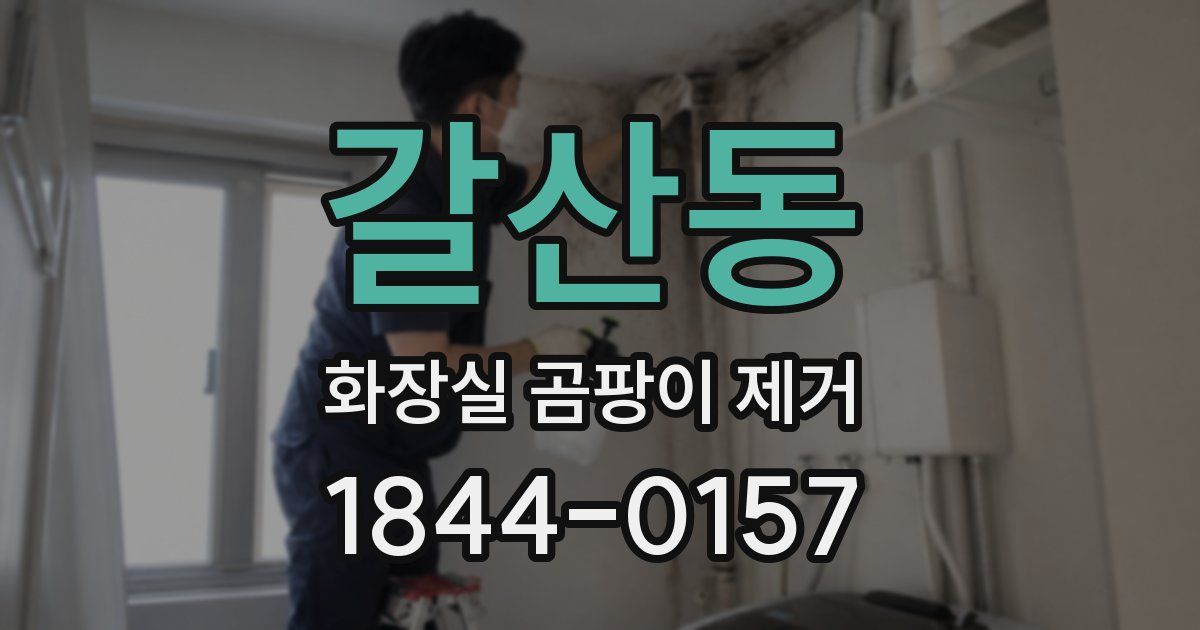 갈산동 화장실 곰팡이 제거