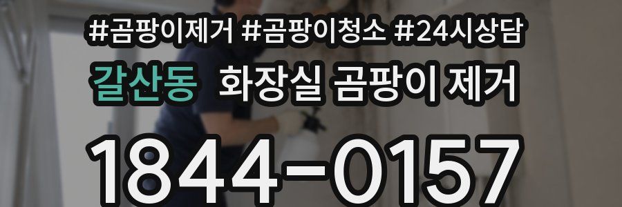 갈산동 화장실 곰팡이 제거