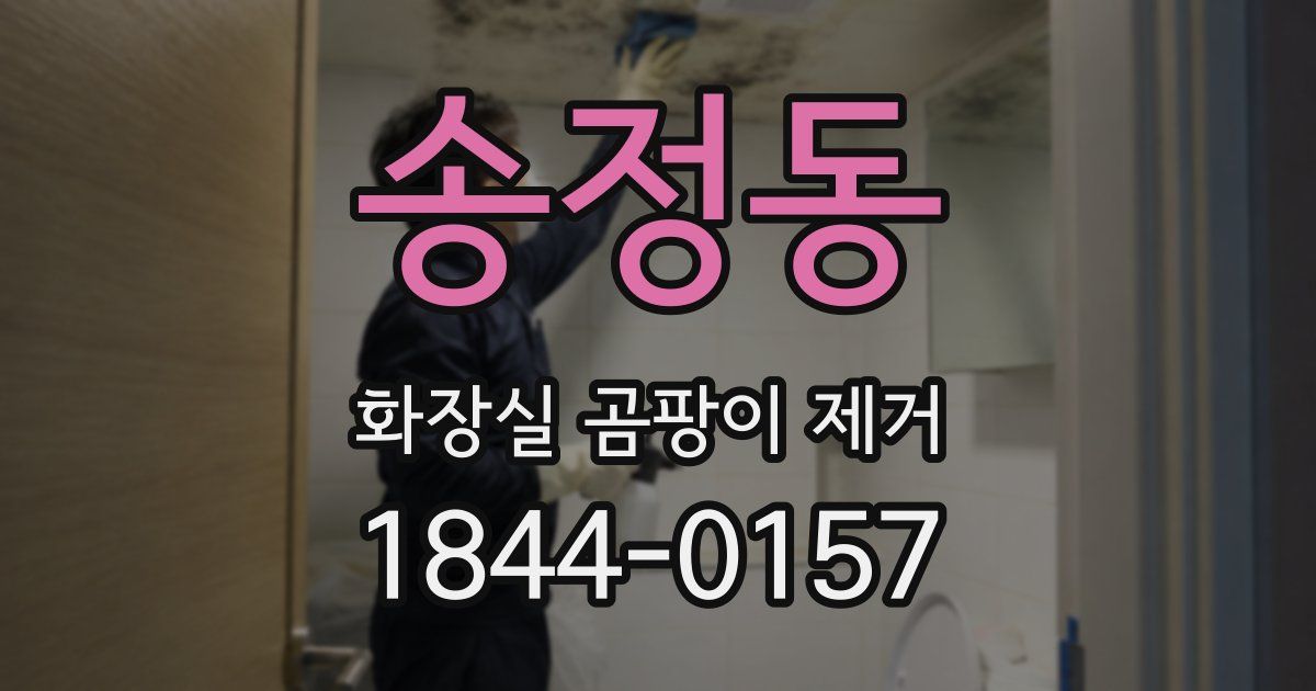송정동 화장실 곰팡이 제거