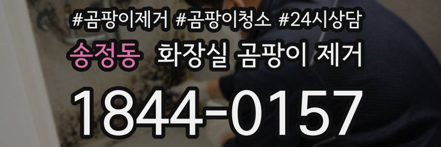 송정동 화장실 곰팡이 제거