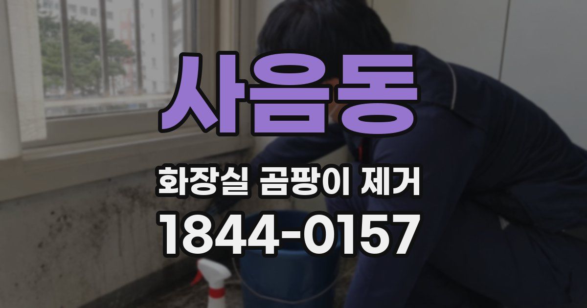 사음동 화장실 곰팡이 제거