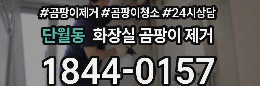 단월동 화장실 곰팡이 제거
