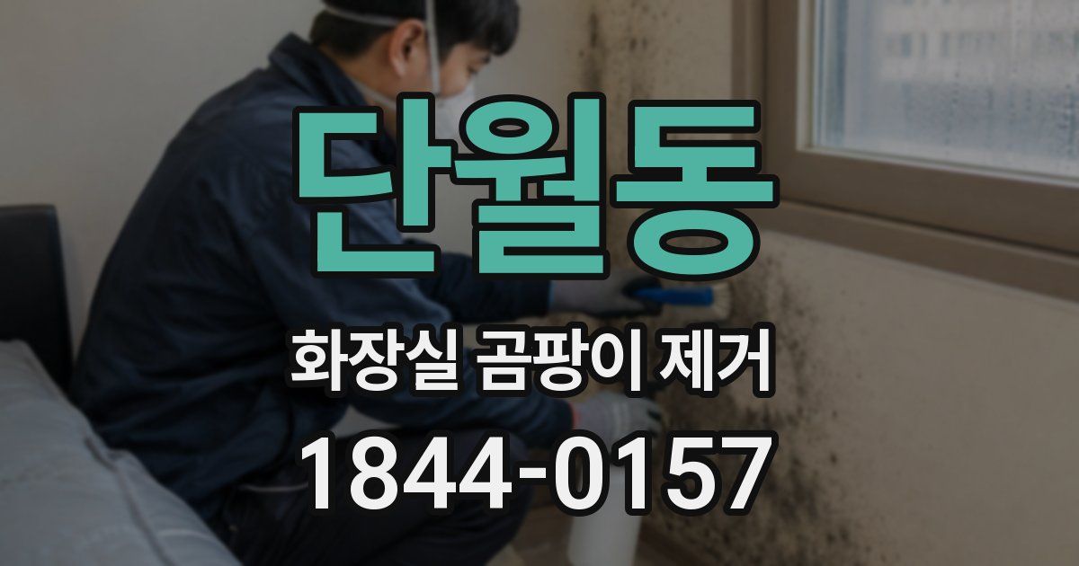 단월동 화장실 곰팡이 제거