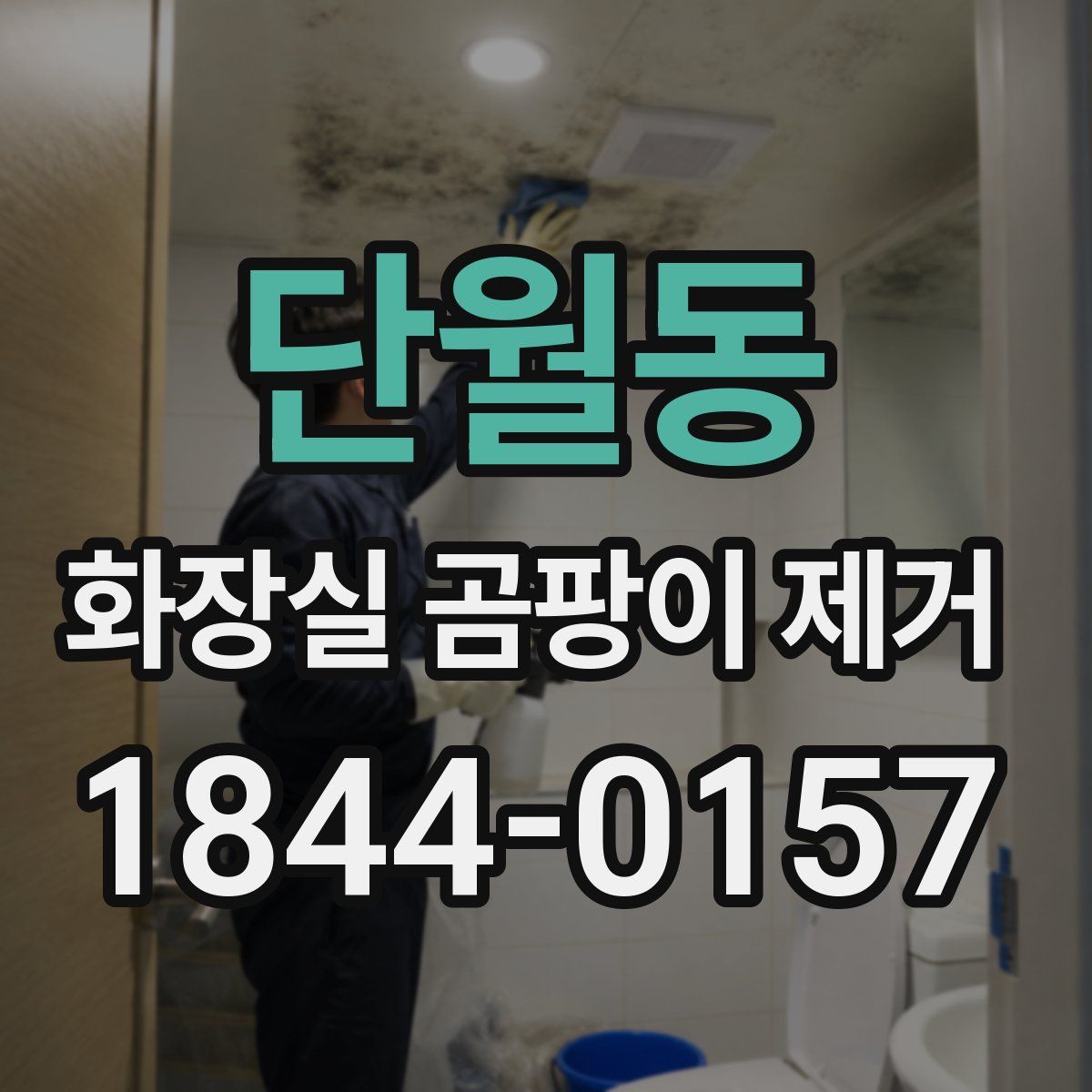 단월동 화장실 곰팡이 제거
