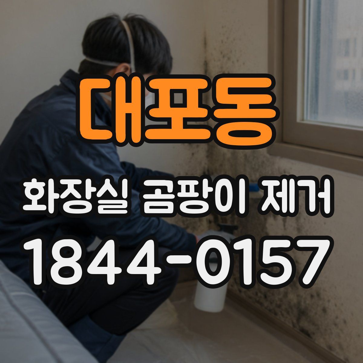 대포동 화장실 곰팡이 제거