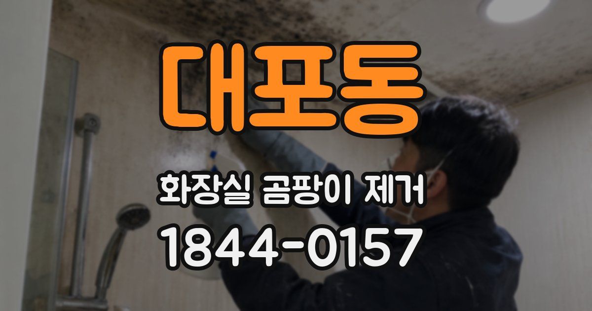 대포동 화장실 곰팡이 제거