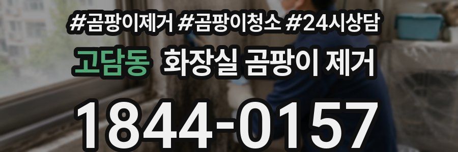 고담동 화장실 곰팡이 제거