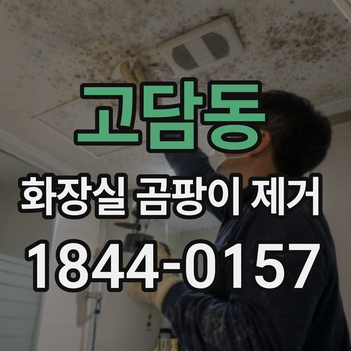 고담동 화장실 곰팡이 제거