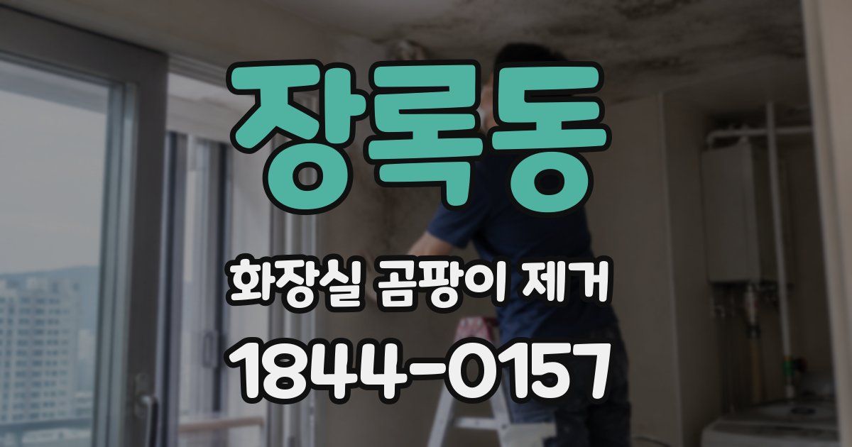 장록동 화장실 곰팡이 제거