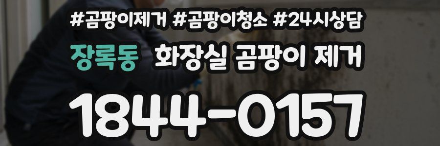 장록동 화장실 곰팡이 제거