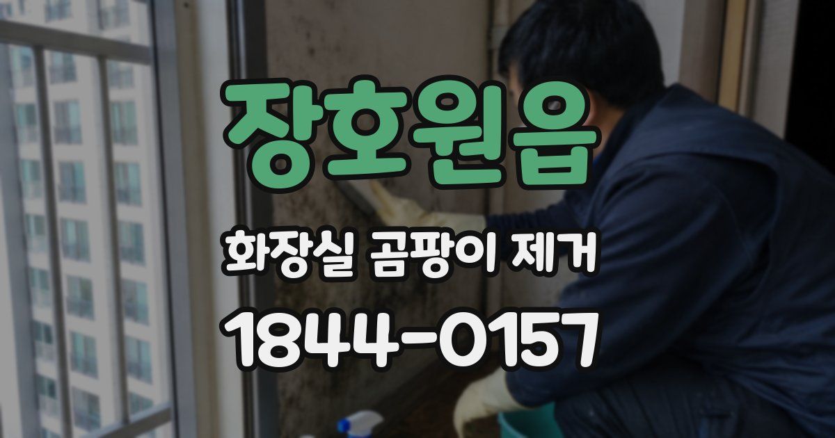 장호원읍 화장실 곰팡이 제거