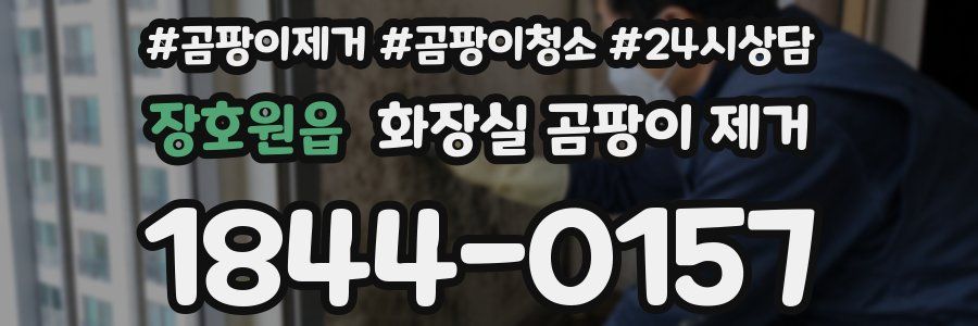 장호원읍 화장실 곰팡이 제거