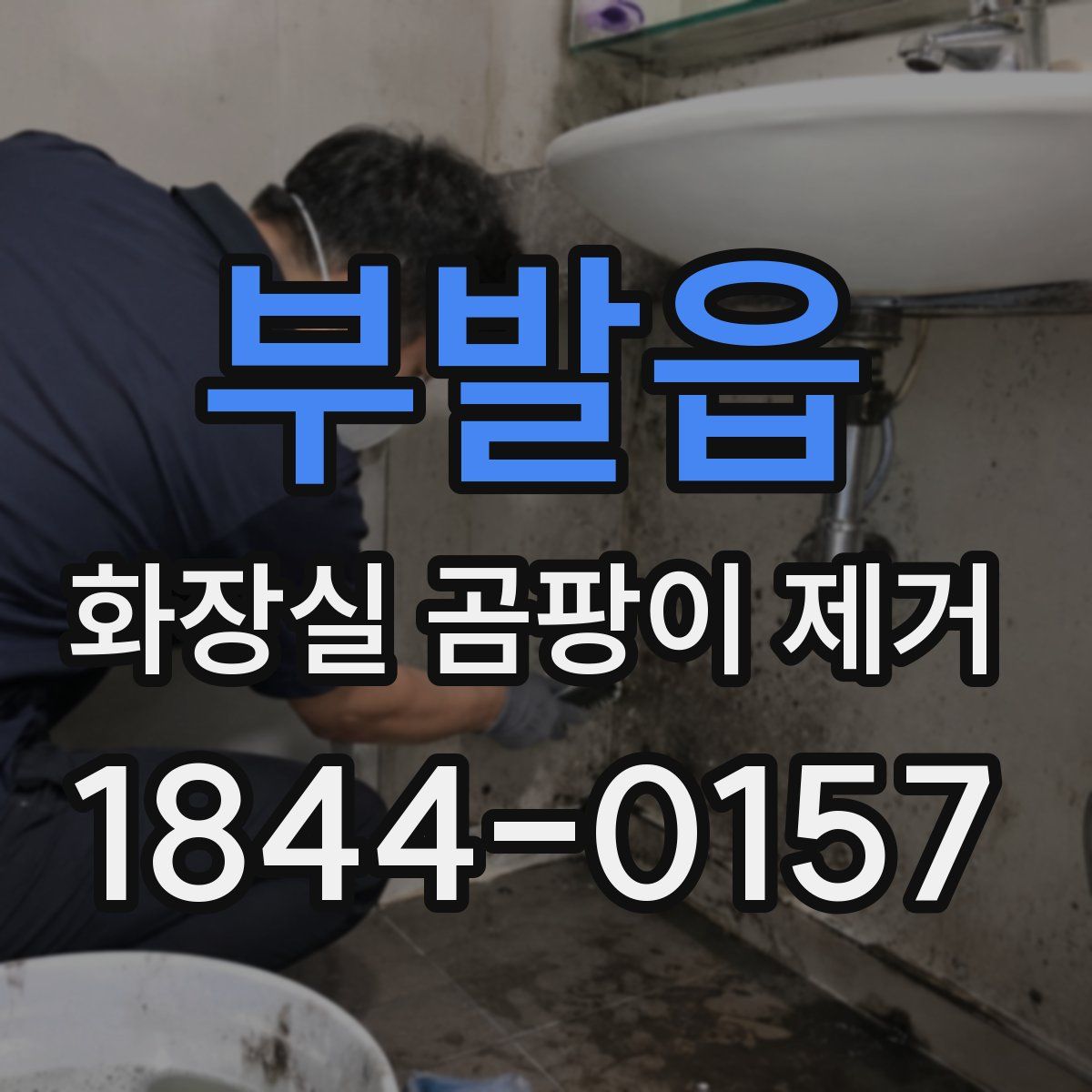 부발읍 화장실 곰팡이 제거
