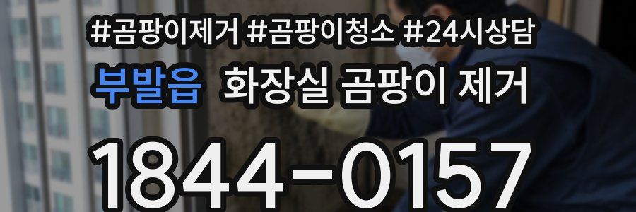부발읍 화장실 곰팡이 제거