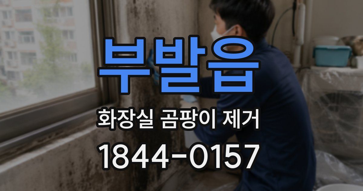 부발읍 화장실 곰팡이 제거