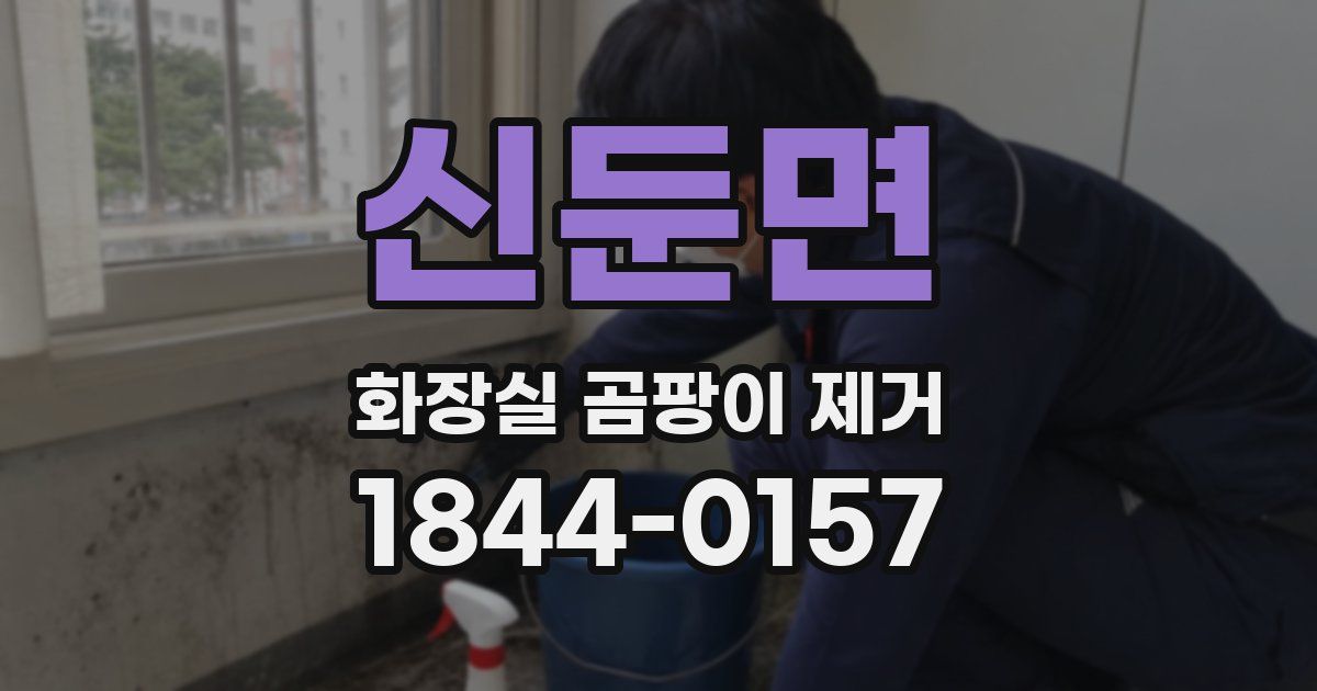 신둔면 화장실 곰팡이 제거