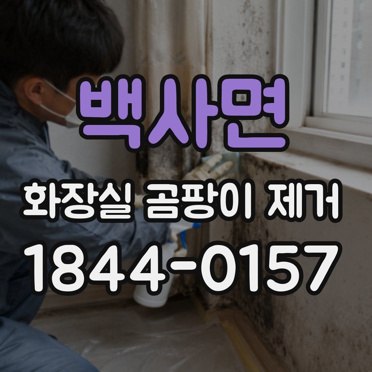 백사면 화장실 곰팡이 제거 다시 번질 때 원인부터 점검하는 법