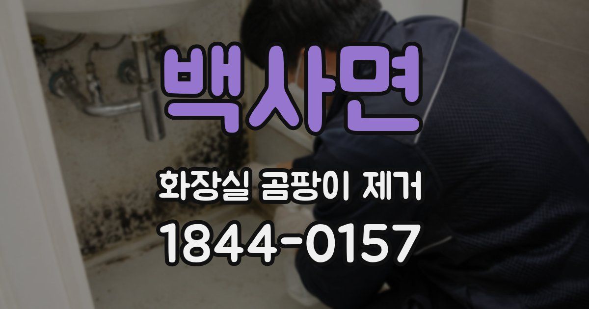 백사면 화장실 곰팡이 제거