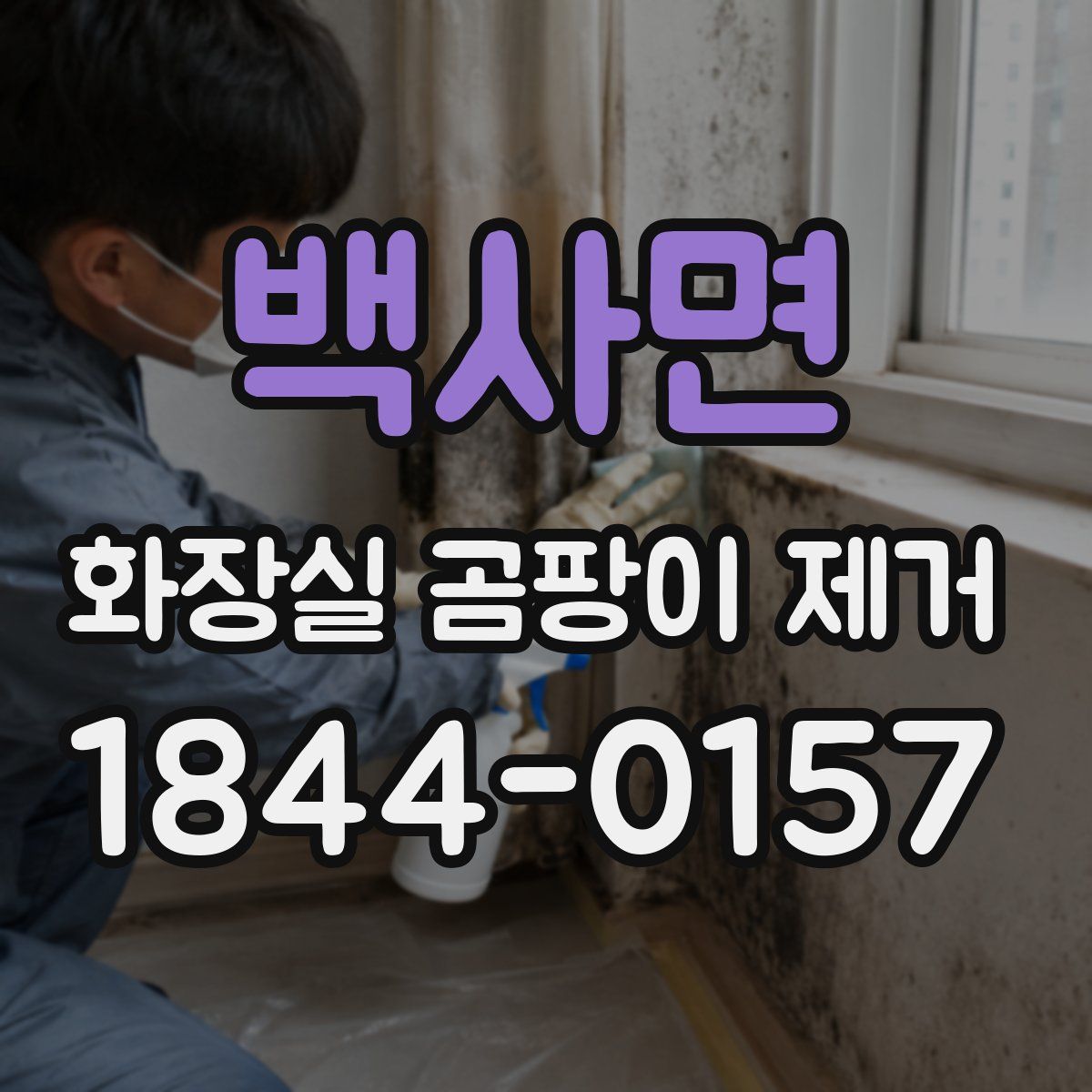 백사면 화장실 곰팡이 제거