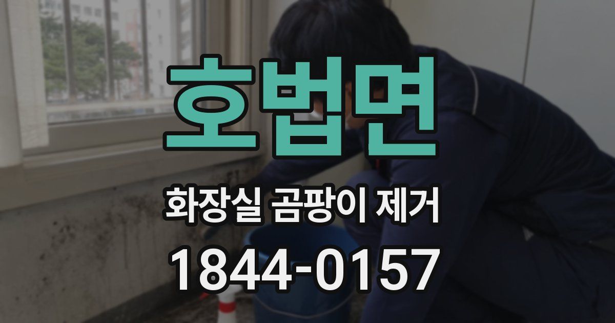 호법면 화장실 곰팡이 제거