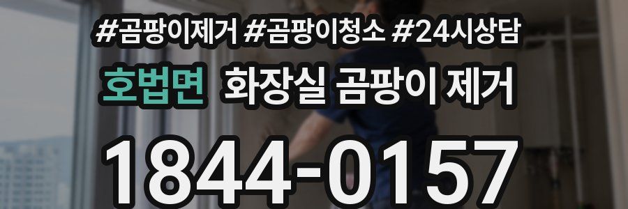 호법면 화장실 곰팡이 제거