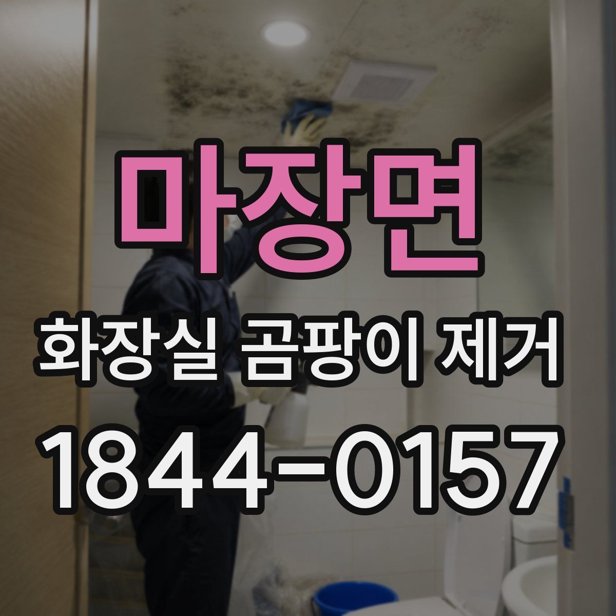 마장면 화장실 곰팡이 제거