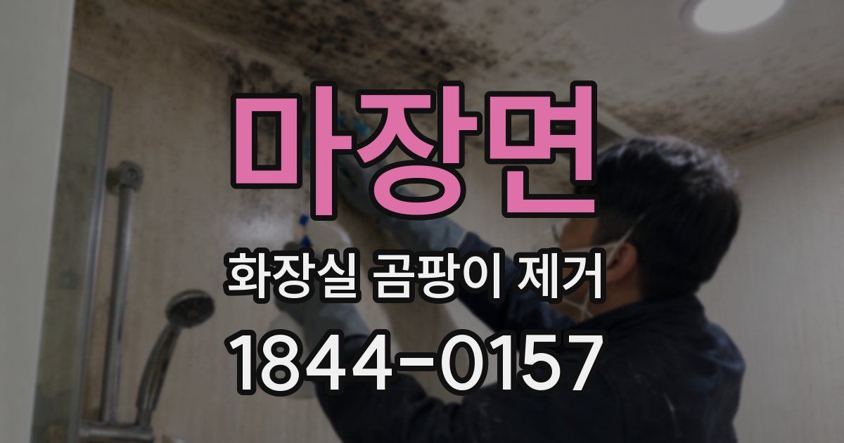 마장면 화장실 곰팡이 제거