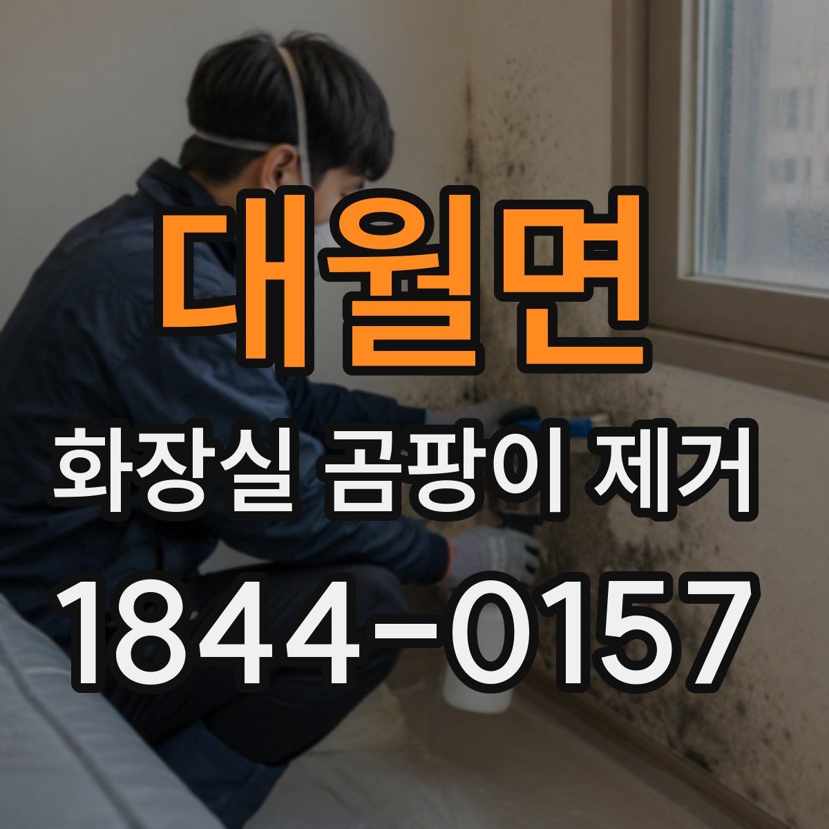 대월면 화장실 곰팡이 제거