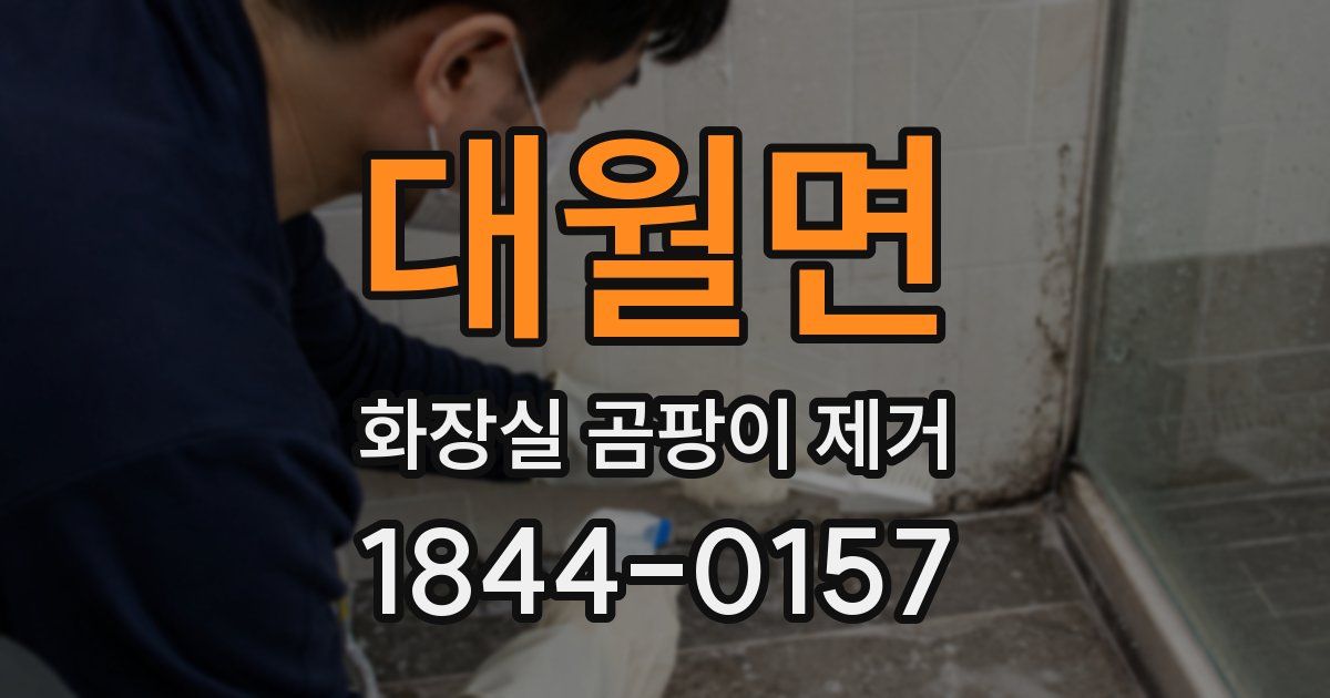 대월면 화장실 곰팡이 제거