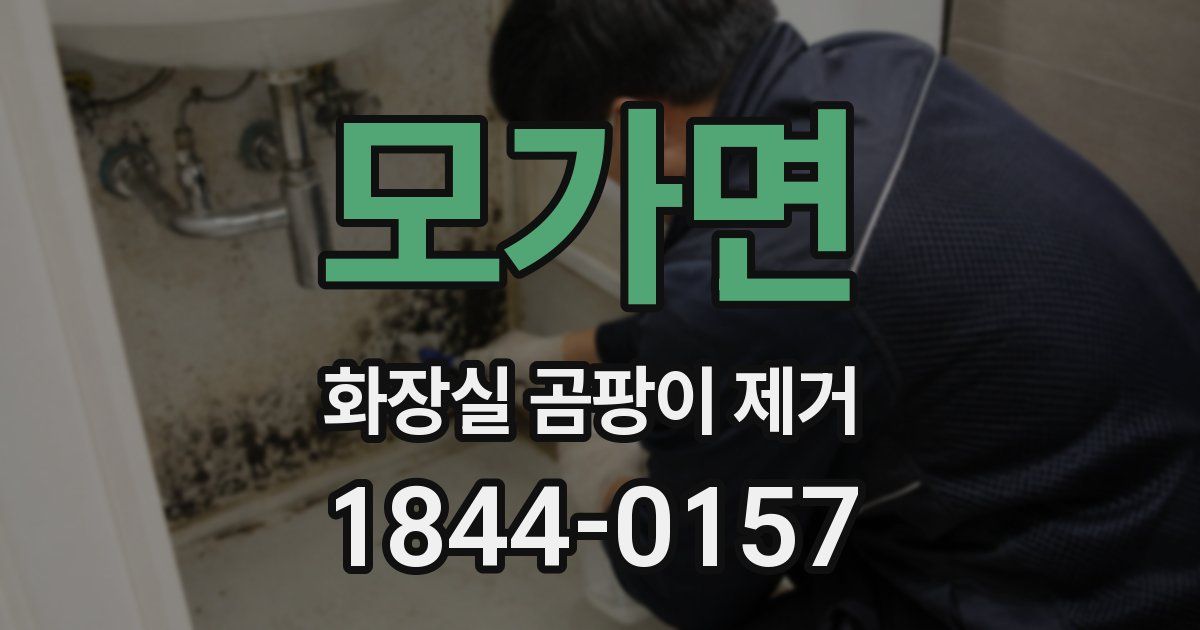 모가면 화장실 곰팡이 제거