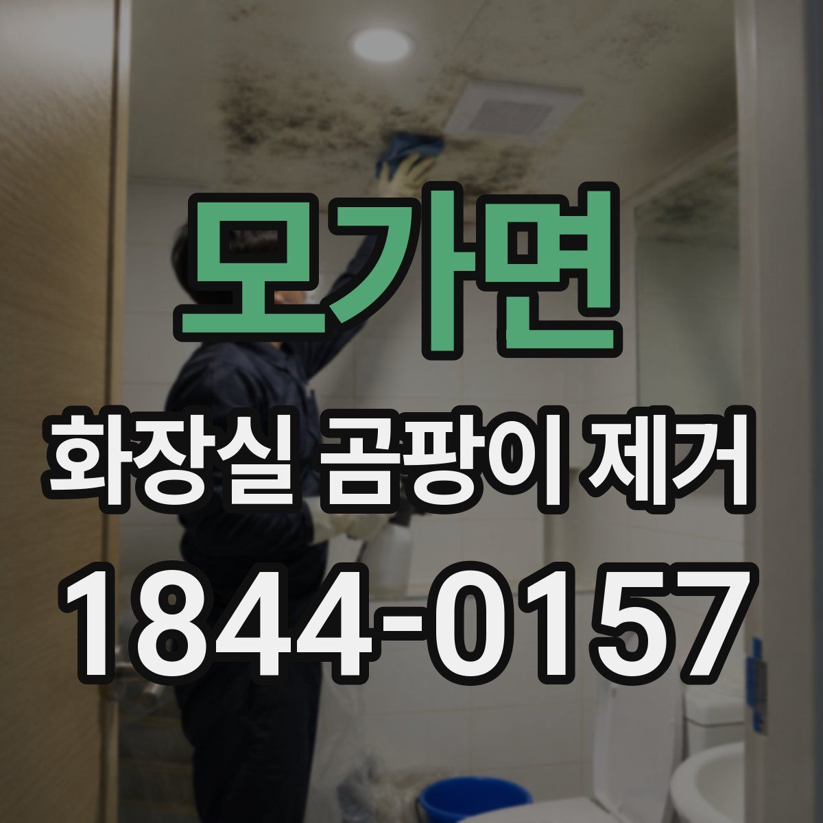 모가면 화장실 곰팡이 제거