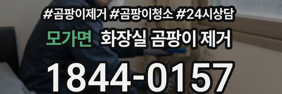 모가면 화장실 곰팡이 제거