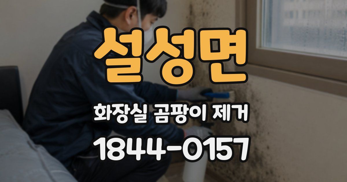 설성면 화장실 곰팡이 제거