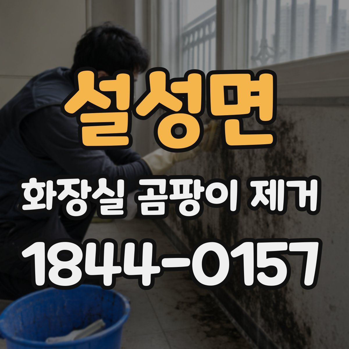 설성면 화장실 곰팡이 제거