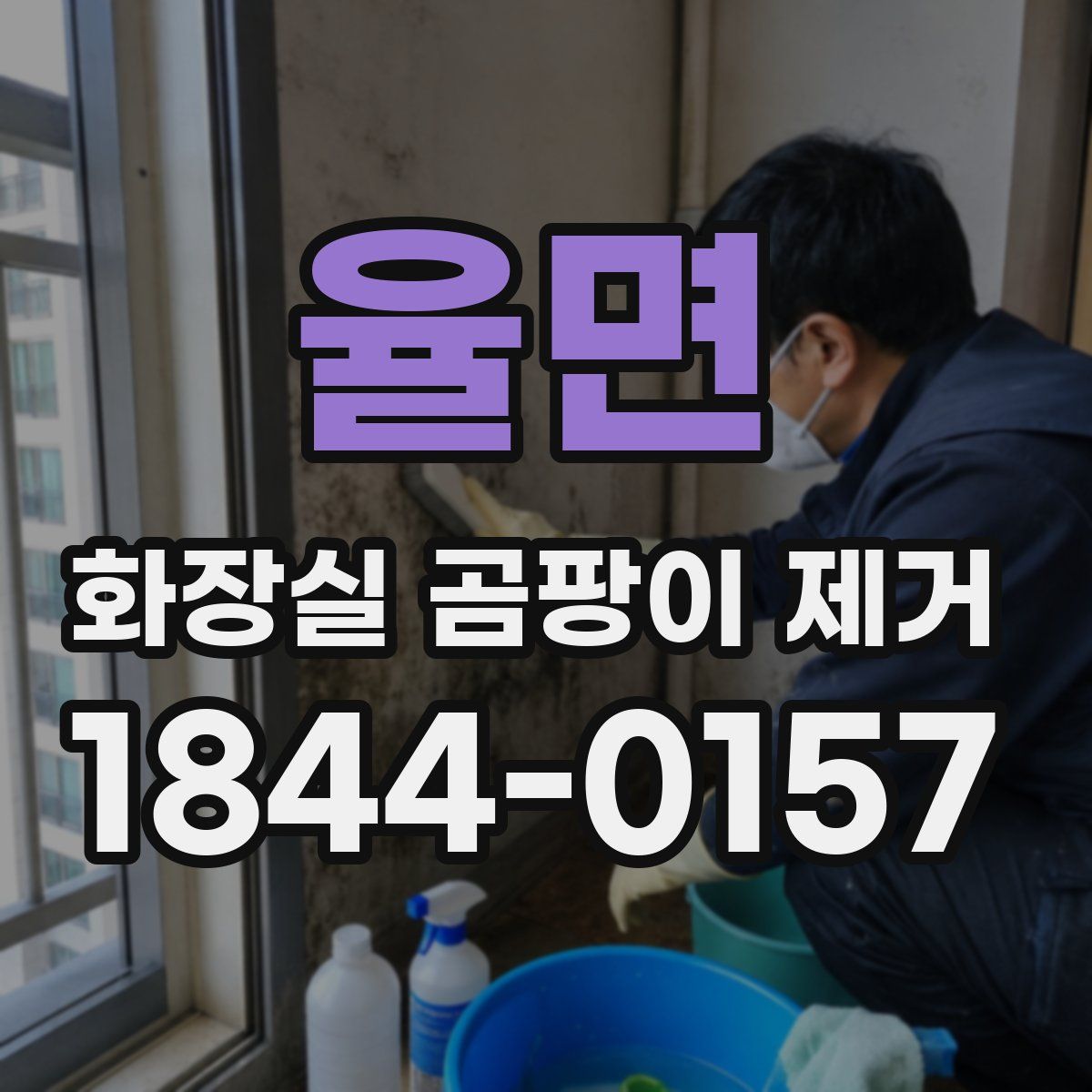 율면 화장실 곰팡이 제거