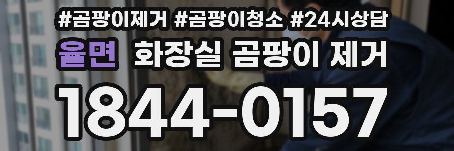 율면 화장실 곰팡이 제거
