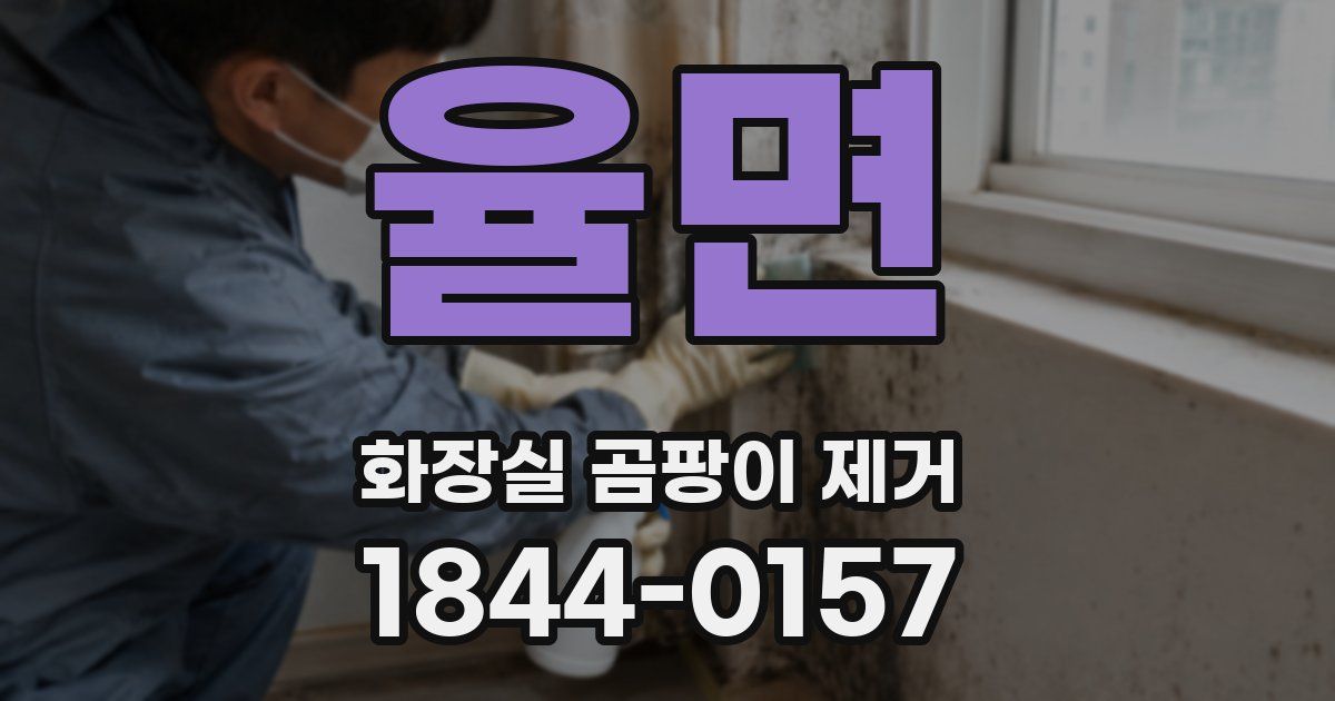 율면 화장실 곰팡이 제거