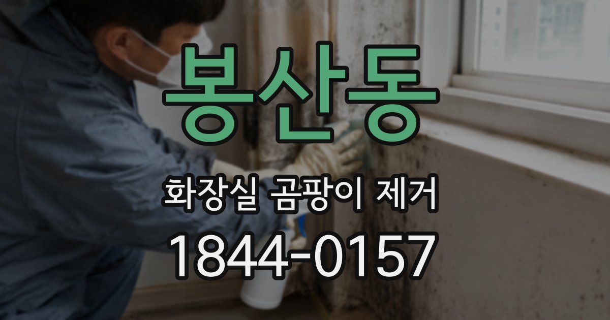 봉산동 화장실 곰팡이 제거