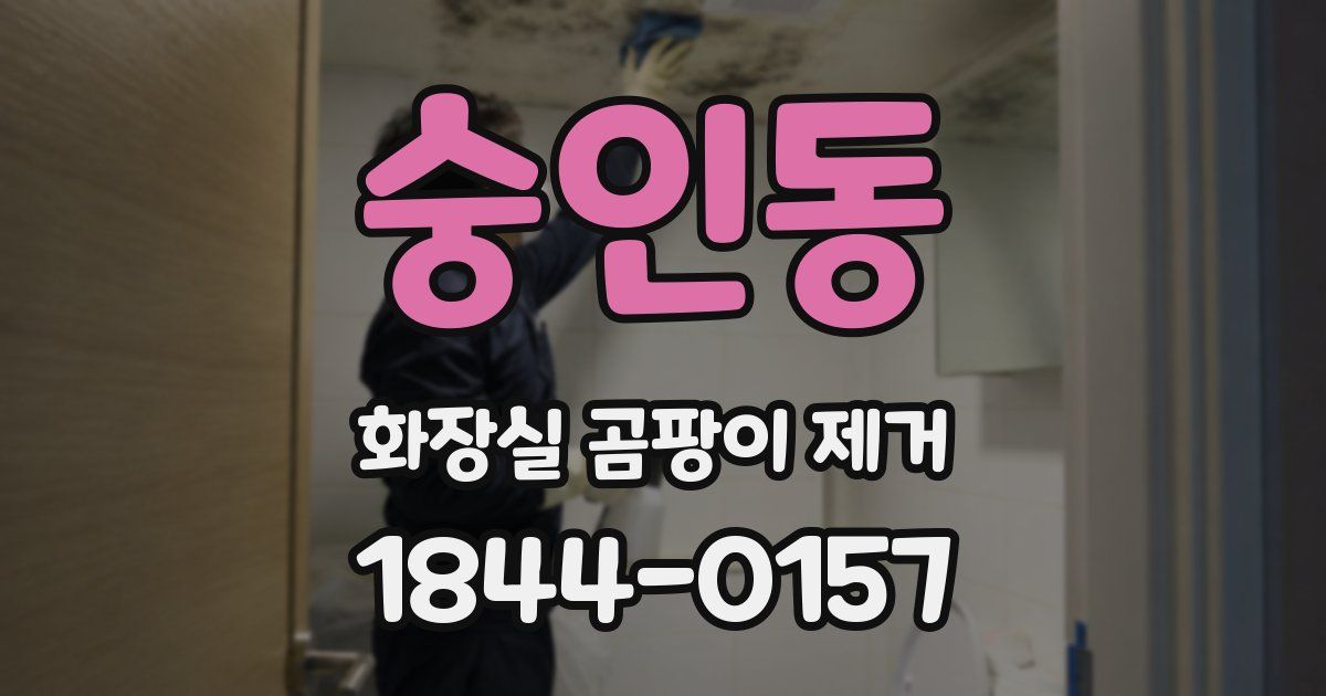 숭인동 화장실 곰팡이 제거