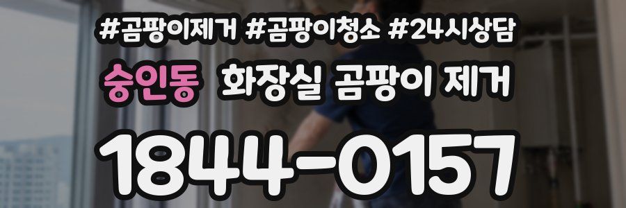 숭인동 화장실 곰팡이 제거